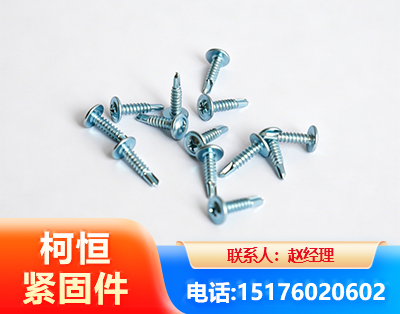 昌都华司钻尾丝