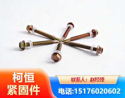 昌都六角钻尾丝
